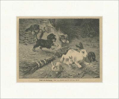 Kunstdruck Escape and Purchase Hunting Rabbit Puppy Broom Lebling Wood Stitch E 25594