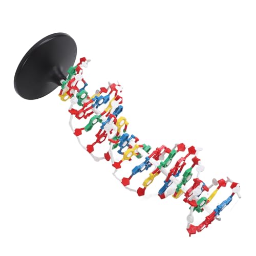 Image of DNA Structure Model Plastic Educational DNA Model Teaching Equipment