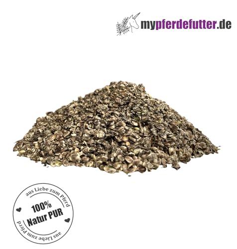 mypferdefutter Hanfsamen geschrotet - 100% Hanf PUR für Pferde ohne Zusätze - unterstützt Atemwege, Haut, Fell & Gelenke - enthält ungesättigte Fettsäuren (Omega 3 & 6)… (3000 g)