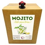 Mojito Artesano Listo para Tomar “Destilerías Riojanas” en bag in box 10 litros. Mojito Preparado a base de Ron, Zumo Limón, Azúcar y Menta. Cómodo, práctico, rentable, Ideal para bares y eventos