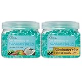 Clear Air Odor Eliminator Gel - 12 oz, Pack of 2 - Air Freshener Made with Essential Oils - Eliminates Odors in Bathrooms, Cars, Boats, RVs & Pet Areas - Hawaiian Breeze Scent