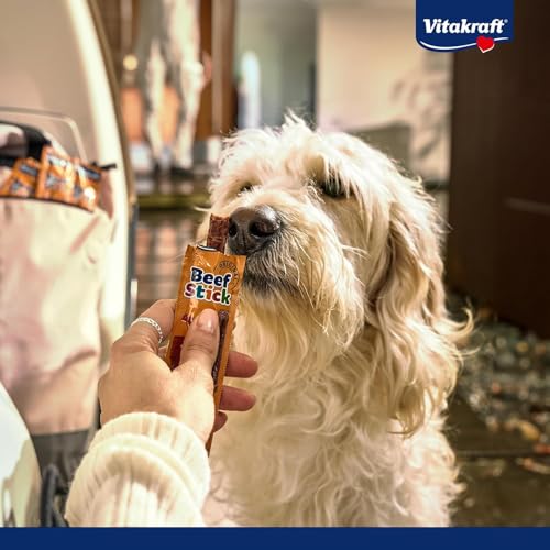 Vitakraft Beef Stick Wild, Hundeleckerli, Fleischstick vom Wild, Hunde Trainingsleckerli, ohne Zusatz von Zucker (1x 12g)