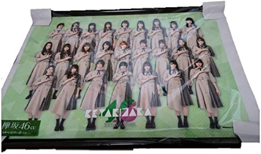 Amazon.co.jp: 欅坂46 A3 タペストリー 全身 ver スピードくじ 一番