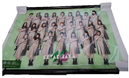 Amazon.co.jp: Keyakizaka 46 A3 Tapestry, Full Body Version, Speed