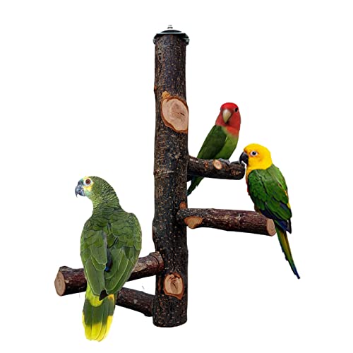 QeeHeng Percha para pájaros, Jaula de Perca de Loro, Perca de Madera Natural, Jaula de pájaros para Loros, pequeñas periquitas, cacatúas, guacamayos, Loros, pájaros de Amor, pinzones