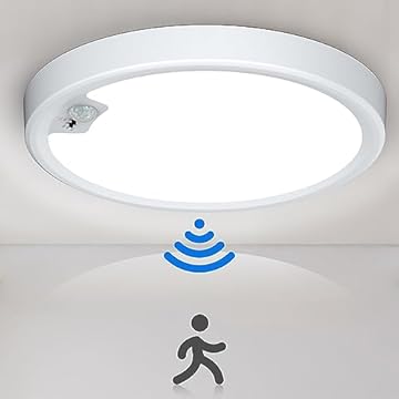 motion detector ceiling lights