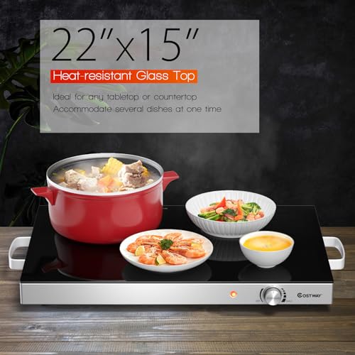 Commercial Stainless Steel Warming Tray