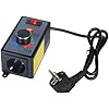 Jadeshay Variateur De Vitesse Pour Moteur 220V AC 10A 4000W SCR