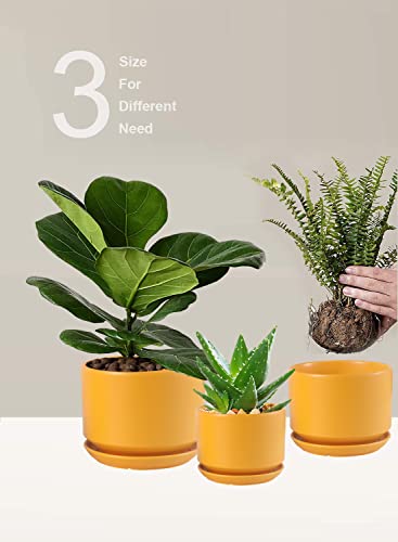 WHOMEPAA Set of Three Ceramic Flower Pots #TOP18