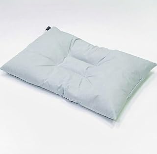 アース製薬と共同開発！防ダニ枕【Dani Not】そばがら 43×63