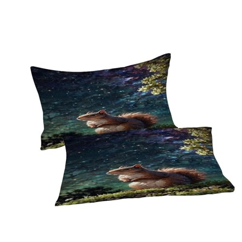 Housse de couette écureuil fermeture éclair lit double infroissable