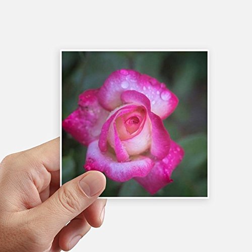 Autocollant carré rose DIYthinker vinyle décoratif pour mur et pc 8Pcs - 2