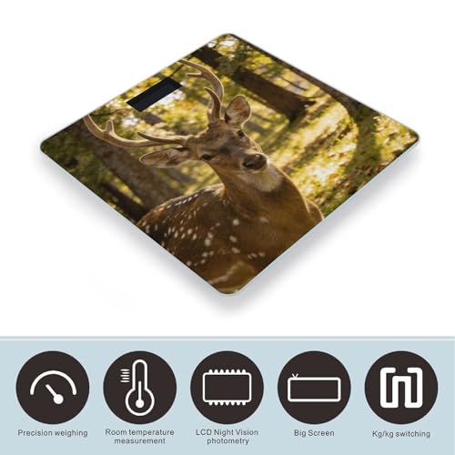 Báscula Digital de Baño con Pantalla LED y Plataforma de Vidrio Templado miniatura 3
