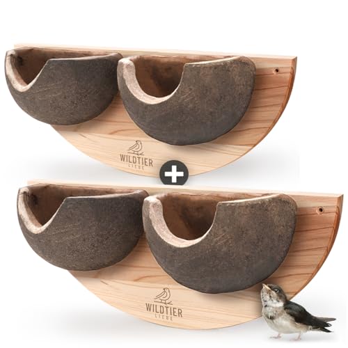 wildtier liebe Schwalbennest 2er Set Doppelnest Nisthilfe für Mehlschwalben aus Massiv-Holz & Naturgetreuen Schlammerden I Schwalbennistkasten Mehlschwalbennest unbehandelt Schwalben Nistkasten