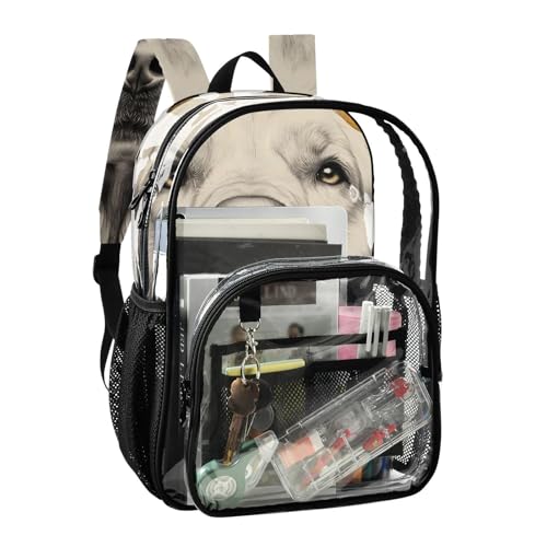 Golden Retriever Floral Cute Clear Backpack, PVC Transparent Bag with Large Capacity for Boys, Girls, Men, Women, See Through Bookbag for School Work College Travel2
