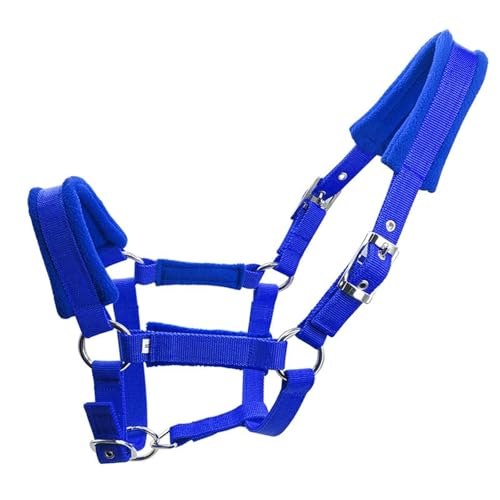 Licol pour chevaux réglable pour éviter les frottements au box