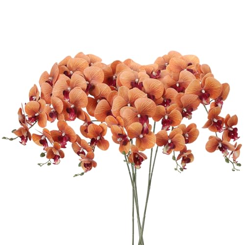 PATIKIL   CeA Ӓ ԑ 105cm 6{ A^b` tFCNt[  ԕr z[  LO fR[Vp _[NCG[