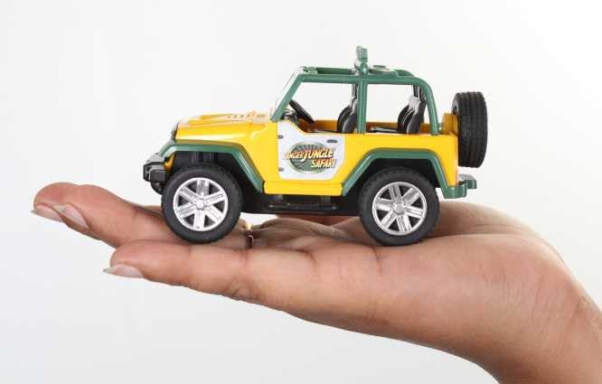 Centy Toys Ranger Jungle Pull Back Safari (Multicolor)