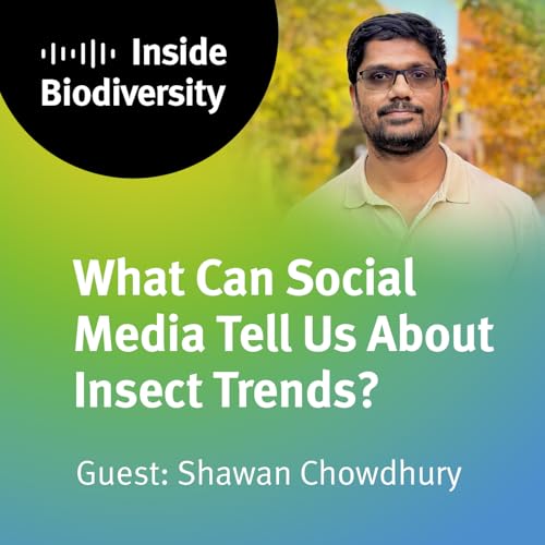 What Can Social Media Tell Us About Insect Trends?