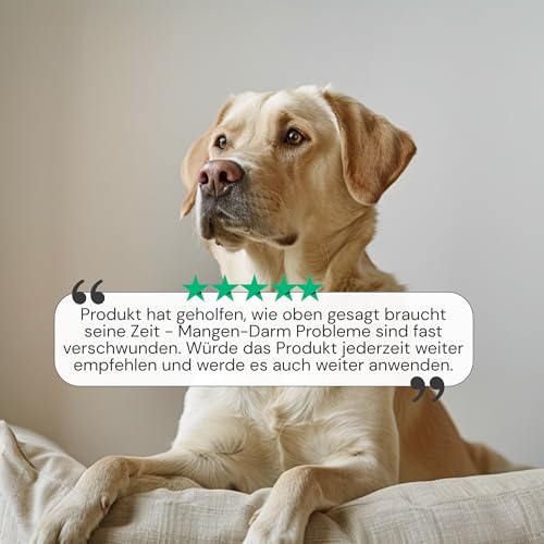 Gastro Entero Comfort Hund – Durchfall Hund, Erbrechen & Magen-Darm-Probleme – pflanzliches Nahrungsergänzungsmittel für Verdauung & Darmflora – 90 Tabletten à 1000 mg – Sensipharm