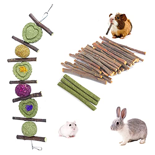 DJun Bunny Chew Toys for Teeth Include Apple Sticks Timothy Hay Sticks Flower Grass Cakes Balls String for Rodents Rabbit Guinea Pigs Chinchilla Hamster (Style 1)