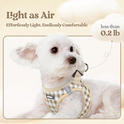 Image of rabbitgoo Dog Harness Small Sized and Leash Set, Step-in Puppy Pet Vest