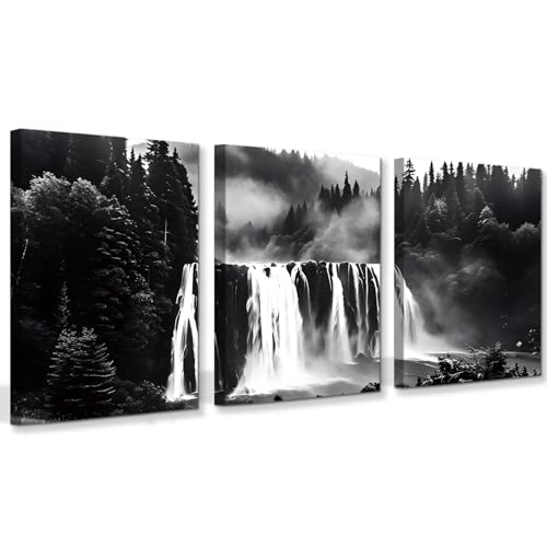 QPOKLAF Foggy Forest Wall Art Prints Black and White Living Room Wall Decor,Natural Framed Posters Office Landscape Decorations Set of 3(12x16inch)