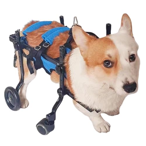 Weyot Silla de Ruedas for Perros pequeños