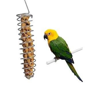 Bird Foraging Toy Feeder Parrot Treat Fruit Vegetable Seed Holder Feeder Food Basket Tool Stainless Steel Cage Accessories for African Grey Conure Parrots Cockatoo Parakeet Cockatiel