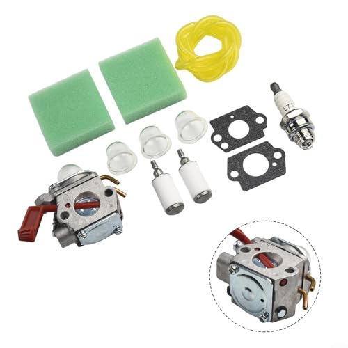 Kit complet de carburateur pour débroussailleuse Homelite B25C BC2500R D725CD D825SB F2020 F3040 F3050 avec kit complet de pièces