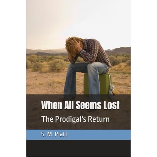 When All Seems Lost by S. Platt episode artwork