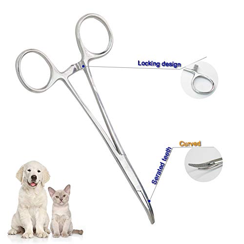 Pets ears/nose hair Puller Straight & Curved full serrated, stainless steel Home Hemostat Locking Forceps, Professional pet grooming tool for cats & dogs 2pcs set Pets ears/nose hair Puller Straight & Curved full serrated, stainless steel Home Hemostat Locking Forceps, Professional pet grooming tool for cats & dogs 2pcs set