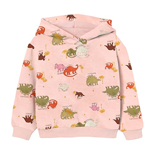 DAWILS Unisex Sudadera con Capucha de Forro Polar Navidad Invierno Bebés Dinosaurio Rosa Chándal Encapuchado Niñas Jumpers Abrigos Deporte Hoodies para Niña 7 Años Cover