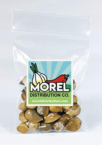 Organic Japanese Garlic (AJO Japones Organico) Bags of 30!! (1 Bag of 30)