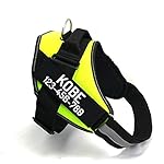 PawPawify Custom No Pull Dog Harness with Name and Phone Number, Heavy Duty Personalized Pet Vest to Prevent Tugging, Pulling, or Choking, Training and Walking (Green, XS (5-9LBS))