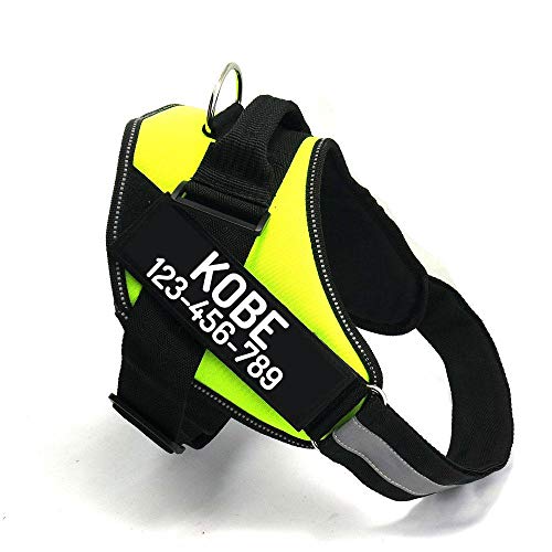 PawPawify Custom No Pull Dog Harness with Name and Phone Number, Heavy Duty Personalized Pet Vest to Prevent Tugging, Pulling, or Choking, Training and Walking (Green, XS (5-9LBS))