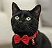 2 Pcs in one Pack Red&Blue Colored Cat and Small Dog Collars with Bow Tie and Bell, Breakaway Design with Safety Release Buckle