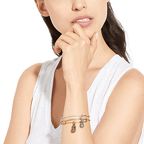 Alex And Ani Path Of Symbols Expandable Bangle For Women, Pineapple Charm, Rafaelian Silver Finish, 2 To 3.5 In #TOP2