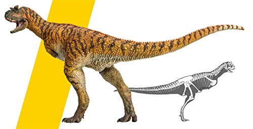Figurine dinosaure Carnotaurus AMITD : figurine Ceratosauria Abelisauridae en PVC