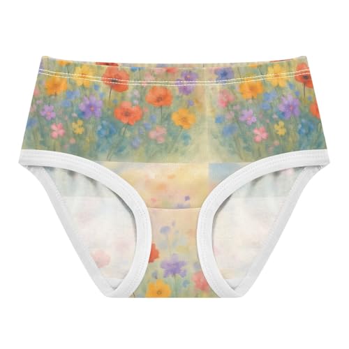 Joisal Toddler Girls Underwear 2t Cotton Panties Little Girl Bright Briefs Girls Undies Colorful Wildflowers