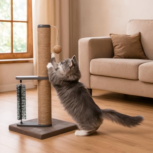 Rascador para gatos y gatitos con bola colgante 24 pulg miniatura 1