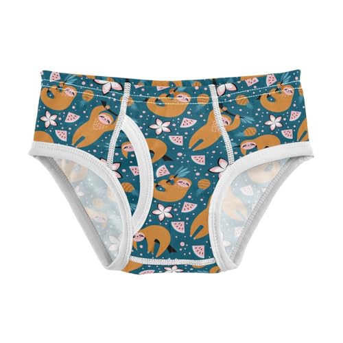 Boys' Underwear Cotton Little Boys Cute Sloths Briefs Soft Toddler Underwear 2T-8Y