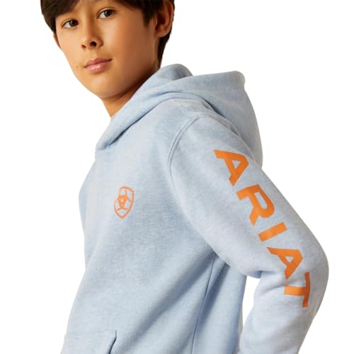 Ariat Youth Boy's Blue Logo Hoodie4