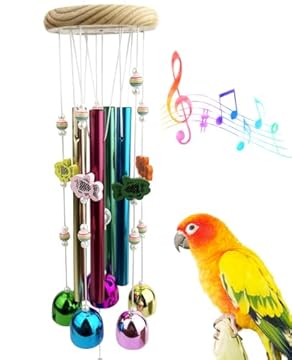 bird toys with bells