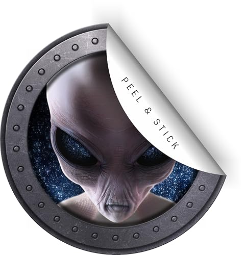 Vinilo decorativo espacial Alien Gris 18 pulg x 18 pulg miniatura 3