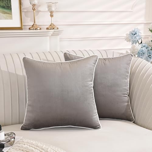 TAOSON Set of 2,Gray/Gray Velvet Throw Pillow Covers Decorative White Rope Edging Couch Pillow Covers for Modern Home Decor Cushion Cases Pillowcases for Living Room Couch Sofa Bed Bedroom,18x18 Inch