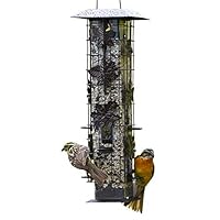 Algopix Similar Product 20 - PerkyPet 3361SR SquirrelBeGone Bird