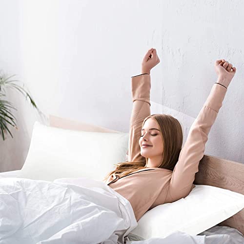 Egyptian Cotton Queen Size Pillow Covers Ruffle 600 Thread Count Sateen Ultra Soft Long Stable Cotton Comfortable Bed Pillow Cover (Set Of 2, Light Gray) #TOP3