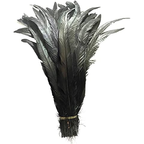 LONDGEN 20 PCS 14-16 inch Natural Rooster CoqueTail Feathers for Stage Performance and Costume Decoration, Halloween Carnival (Black) Cover