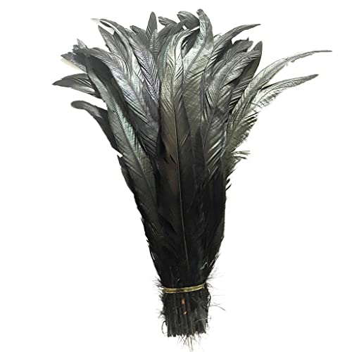 LONDGEN 20 PCS 14-16 inch Natural Rooster CoqueTail Feathers for Stage Performance and Costume Decoration, Halloween Carnival (Black)